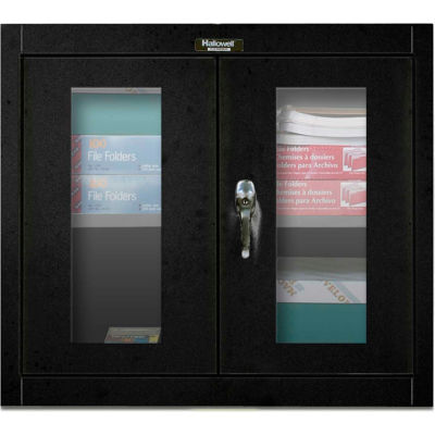 Hallowell 405-3026SV 400 Series Safety-View Door Wall Mount Cabinet,30x12x26 Ebony,Unassembled