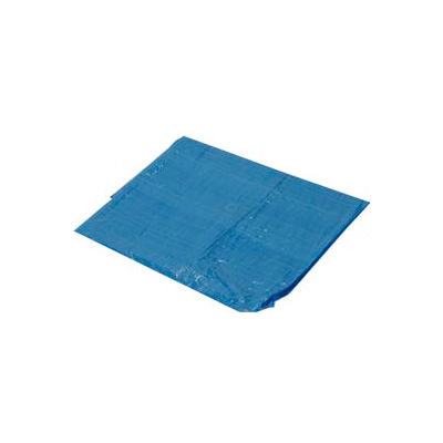 10' x 12' Light Duty 2.9 oz. Tarp, Blue - B10x12