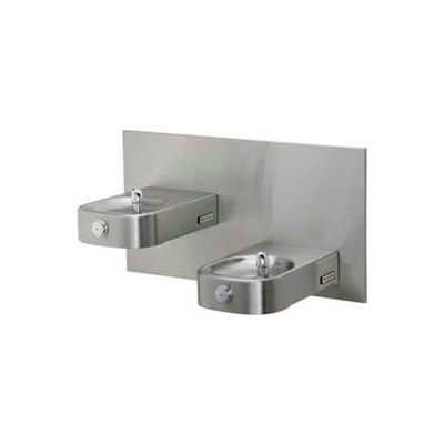 Halsey Taylor Contour™ Bi-Level Barrier-Free Fountain, HDF-BLEBP FTN
