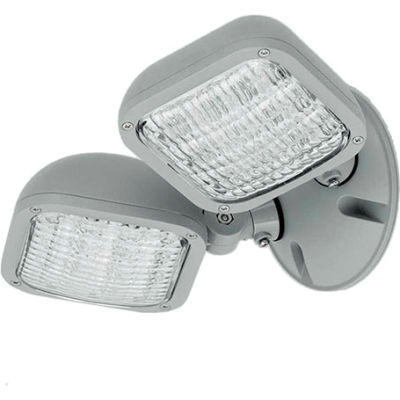 Hubbell CWRD Outdoor Dual Head Remote LED Fixture, Use with CU2W, Outdoor, Grey