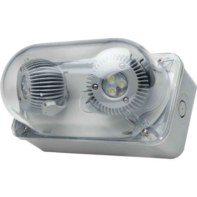 Hubbell DYNRD-4X LED Remote- DYN Series, Dual Head, NEMA 4X/IP66, 3W LED Lamps