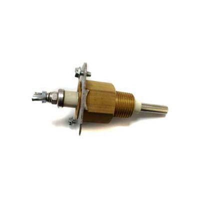 Hydrolevel Short 1/2" Probe EL1220-SV For Low Water Cut-off