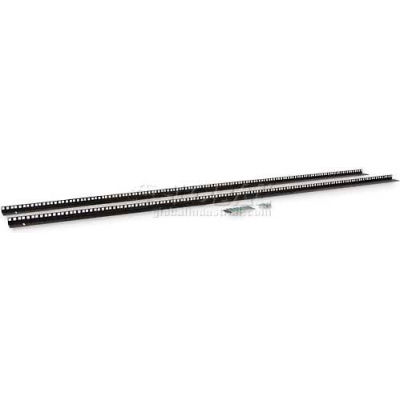 Kendall Howard™ 42U Server Cabinet Vertical Rail Kit - Cage Nut