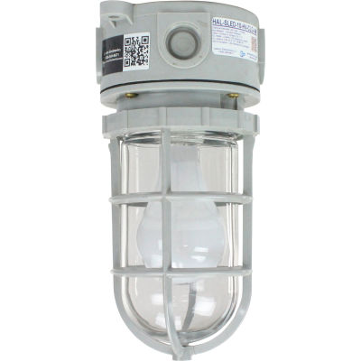Larson Electronics HAL-CRNM-100W-120V-CLG, Non-Metallic C1D2 100 Watt Incandescent Ceiling Mount