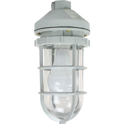 Larson Electronics HAL-CRNM-100W-120V-PND, Non-Metallic C1D2 100 Watt Incandescent Pendant Mount