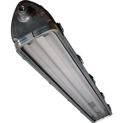 Larson Electronics HAL-EMG-48-2L-T8-PND, Hazardous Location EMG 4f 2lamp T8 PND