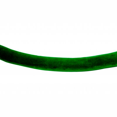 Tensator Velour Rope Green 1' No Ends