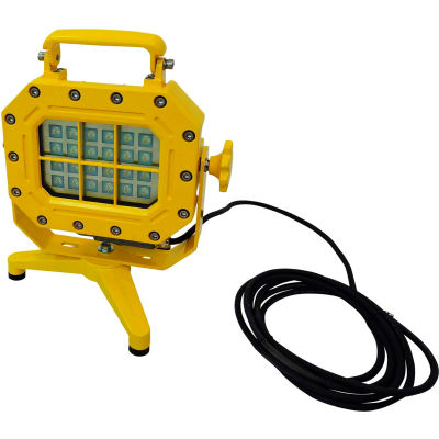 Lind Equipment 40W LED Portable Hazardous Location Floodlight on Floor Stand