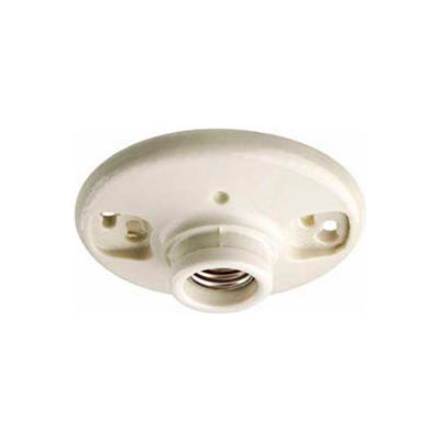 Leviton 49875 Medium Base 1-Piece Glazed Porcelain Outlet Bx Mount Incand. Lampholder