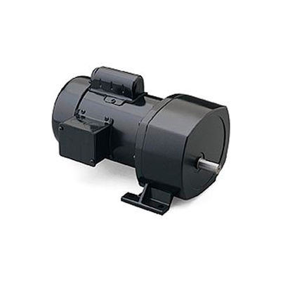 Leeson 107025.00, 1/3 HP, 18 RPM, 208-230/460V, 3-Phase, TEFC, P1100, 95:1 Ratio, 1089 In-Lbs