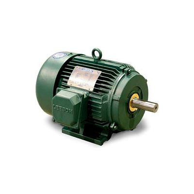 Leeson 171635.60, Premium Eff., 5 HP, 1180 RPM, 208-230/460V, 215T, TEFC, Rigid