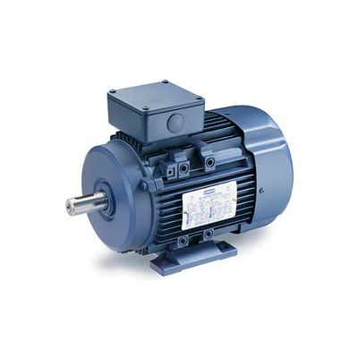 Leeson Motors Motor IEC Metric Motor-5.5HP, 230/460V, 1180/975RPM, IP55, B3, 1.15 SF, 87.5 Eff.