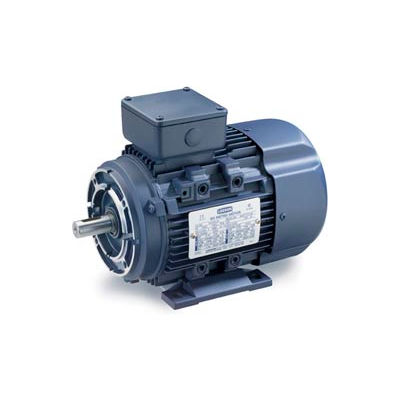 Leeson Motors Motor IEC Metric Motor-5.5HP, 230/460V, 1180/975RPM, IP55, B3/B14, 1.15 SF, 87.5 Eff.
