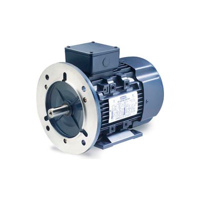 Leeson Motors Motor IEC Metric Motor-10HP, 230/460V, 1175/980RPM, IP55, B3/B5, 1.15 SF, 89.5 Eff.