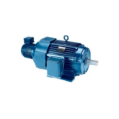 Leeson Motors - 100HP, 230/460V, 1785RPM, TEBC, Rigid C Mount, 1.0 S.F.