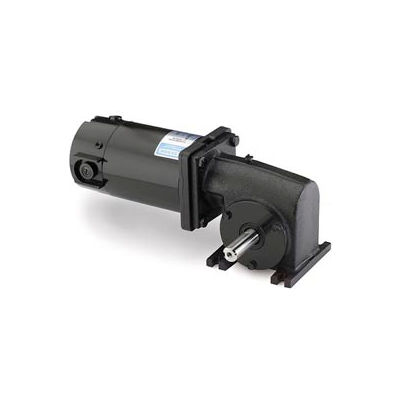 Leeson M1115021.00, 1/17 HP, 250 RPM, 90VDC, TENV, 10, 10:1 Ratio, 10 In-Lbs