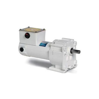 Leeson M1125266.00, 1/20 HP, 5 RPM, 12VDC, TENV, P300, 336:1 Ratio, 353 In-Lbs