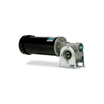 Leeson M1135289.00, 1/4 HP, 90 RPM, 90VDC, TEFC, 512, 19:1 Ratio, 100 In-Lbs