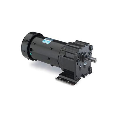 Leeson M1145031.00, 1/6 HP, 30 RPM, 115/230V, 1-Phase, TEFC, P240, 58:1 Ratio, 295 In-Lbs