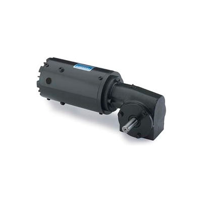 Leeson M1145038.00, 1/6 HP, 43 RPM, 115/230V, 1-Phase, TEFC, 13, 40:1 Ratio, 113 In-Lbs