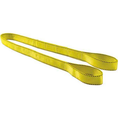Liftex® Pro-Edge® 1"W 4'L 2 Ply Eye & Eye Poly Web Sling Flat Eyes