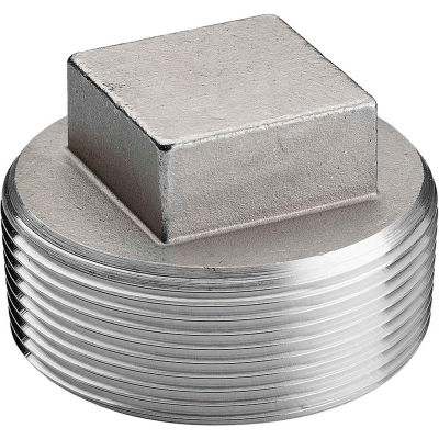 Pipe Fittings | Stainless Steel | 3/4 In. 304 Stainless Steel Plug ...