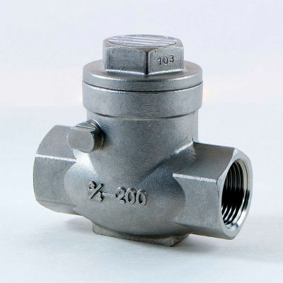 3/4 In. 316 Stainless Steel Swing Check Valve - 200 PSI