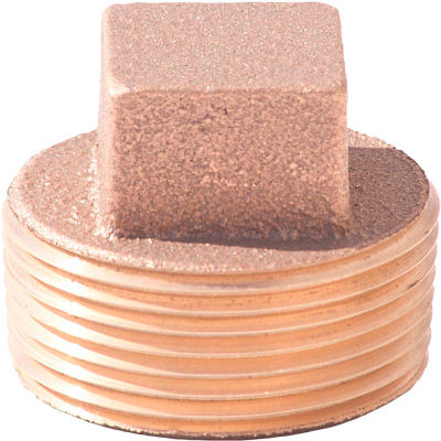3/4 In. Lead Free Brass Plug - MNPT - 125 PSI - Import