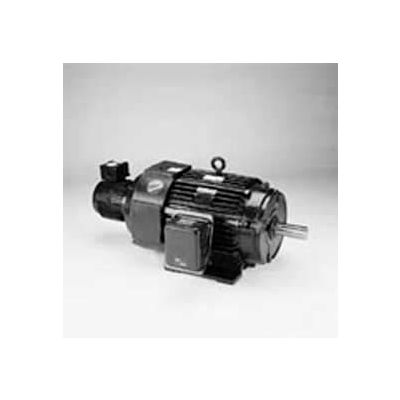 Marathon Motors Inverter Duty Motor, Y515, 364THFS8046, 60HP, 230/460V, 1800RPM, 3PH, 364TC, TEBC