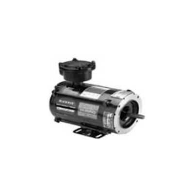 Marathon Motors Inverter Duty Motor, Y601, 56H17E5302, 1/3HP, 230/460V, 1800RPM, 3PH, 56C, EPNV
