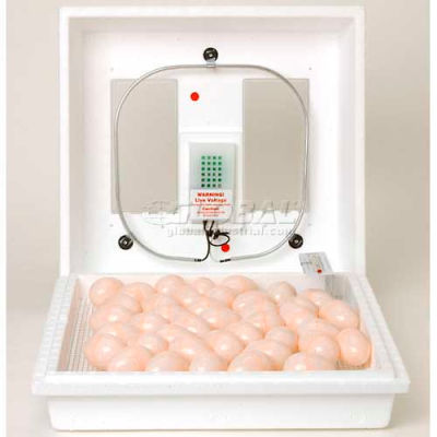 Animal Housing & Livestock | Farm & Ranch Supplies | Little Giant Still