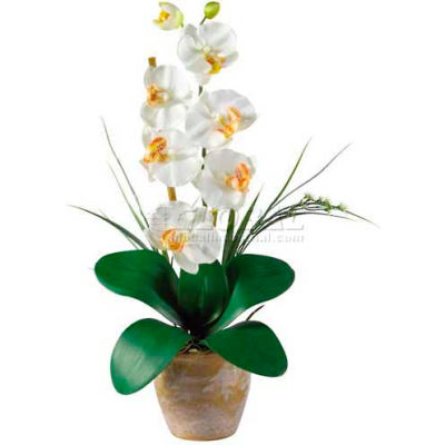 Nearly Natural Phalaenopsis Silk Orchid Flower Arrangement, Cream