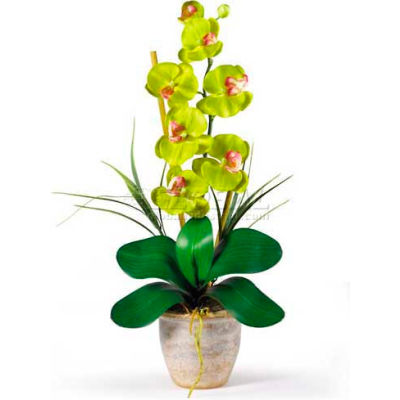 Nearly Natural Phalaenopsis Silk Orchid Flower Arrangement, Green
