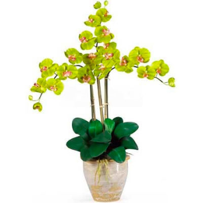 Nearly Natural Triple Phalaenopsis Silk Orchid Flower Arrangement, Green