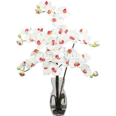 Nearly Natural Phalaenopsis with Vase Silk Flower Arrangement, White