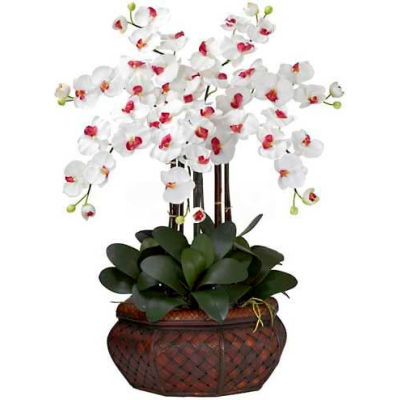 Nearly Natural Large Phalaenopsis Silk Flower Arrangement, White
