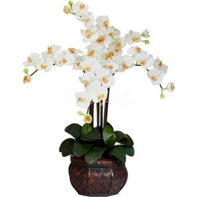 Nearly Natural Phalaenopsis with Decorative Vase Silk Flower Arrangement, Cream