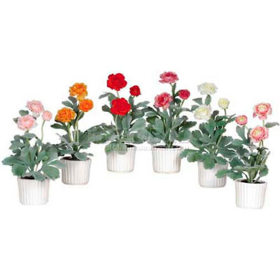 Nearly Natural Ranunculus with White Vase (Set of 6)
