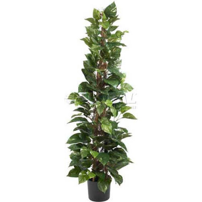 Nearly Natural 63'' Pothos Climbing Silk Plant
