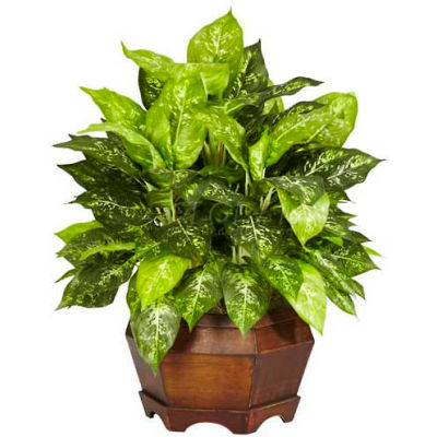 Nearly Natural Variegated Dieffenbachia with Large Hexagon Silk Plant