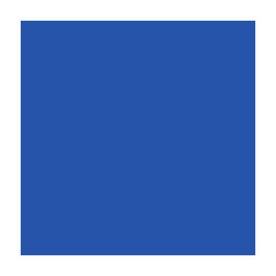 Flagging Tape - Blue