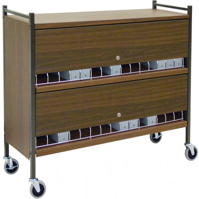 Omnimed® Large Vertical Cabinet Chart Rack with Locking Panel, 45 Binder Capacity, Woodgrain
