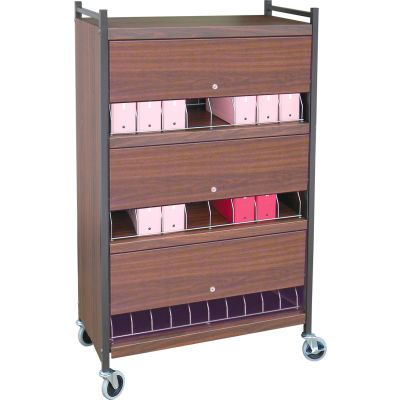 Omnimed® Standard Vertical Cabinet Chart Rack with Locking Panel, 24 Binder Capacity, Woodgrain
