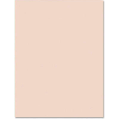 Pacon® Heavyweight Tagboard, 9"W x 12"H, Manila, 100/Pack