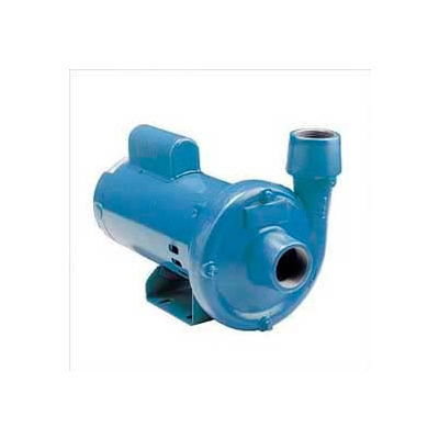 Little Giant 558240 CP-050-C Centrifugal Pump Cast Iron & End Suction - 115/230V - 46 GPM - 1/2 HP