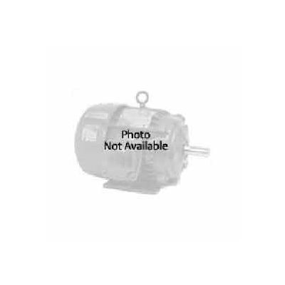 Pool & Spa, Square Flange, 1 1/2 HP, 1-Phase, 3450 RPM Motor, ESQ1152