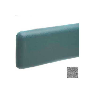 End Cap for WG-6, Gray