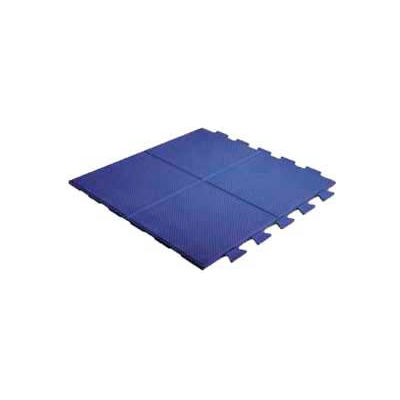 Pawling's Pro-Tek® Aerobic Tile Interlocking Mat Tile, 9/16" Thick, 24"L x 24"W, Teal