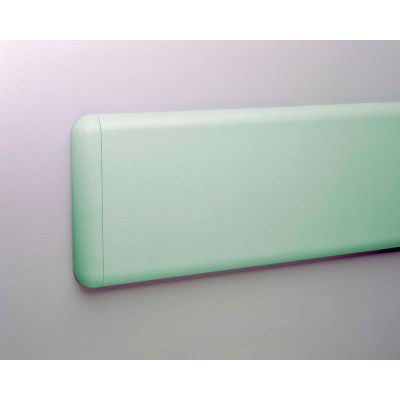 Pawling® WG-8P-12-648 PETG Crash-Rail-Type Wall Guard, 12' x 1" x 8"