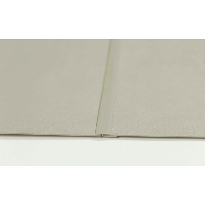 Pawling® WP-40-4x8-1-Case Rigid PETG Wall Covering, 8' x 1/25" x 4'